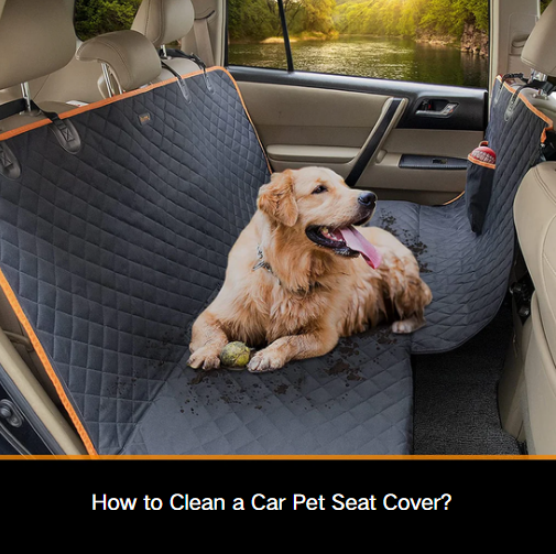 how-to-clear-a-car-dog-seat-cover